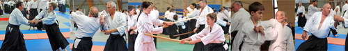Aïkido au dojo de Strasbourg 67 en Alsace accessible à tous