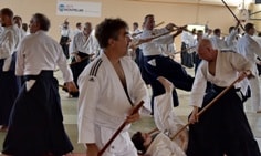 Aïkido traditionnel au dojo de Vendenheim Strasbourg un art martial pas un sport