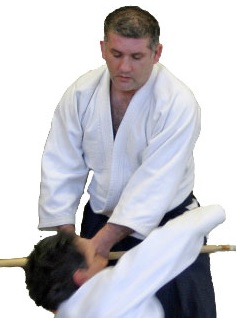 Arts martiaux japonais
